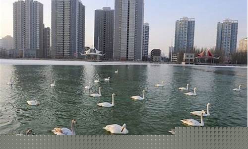 库尔勒天气30天_库尔勒天气30天气