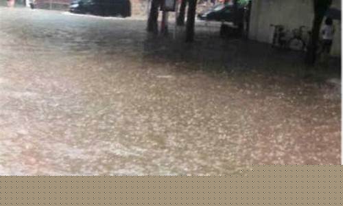 广州大雨最新消息_广州大雨最新消息今天