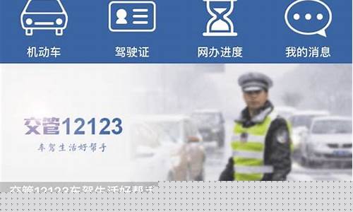 12123车辆违章查询_12123车辆违章查询不是本人的车能查吗