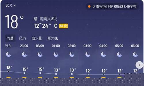 武汉未来40天气预报_武汉未来40天气预报最新,湖北黄石的天气预报